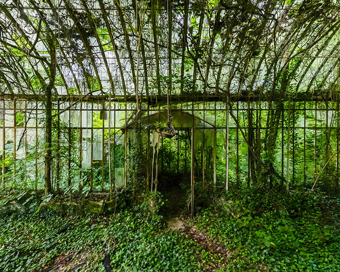 once-captive plants burst free to transform abandoned greenhouses in romain veillon's series